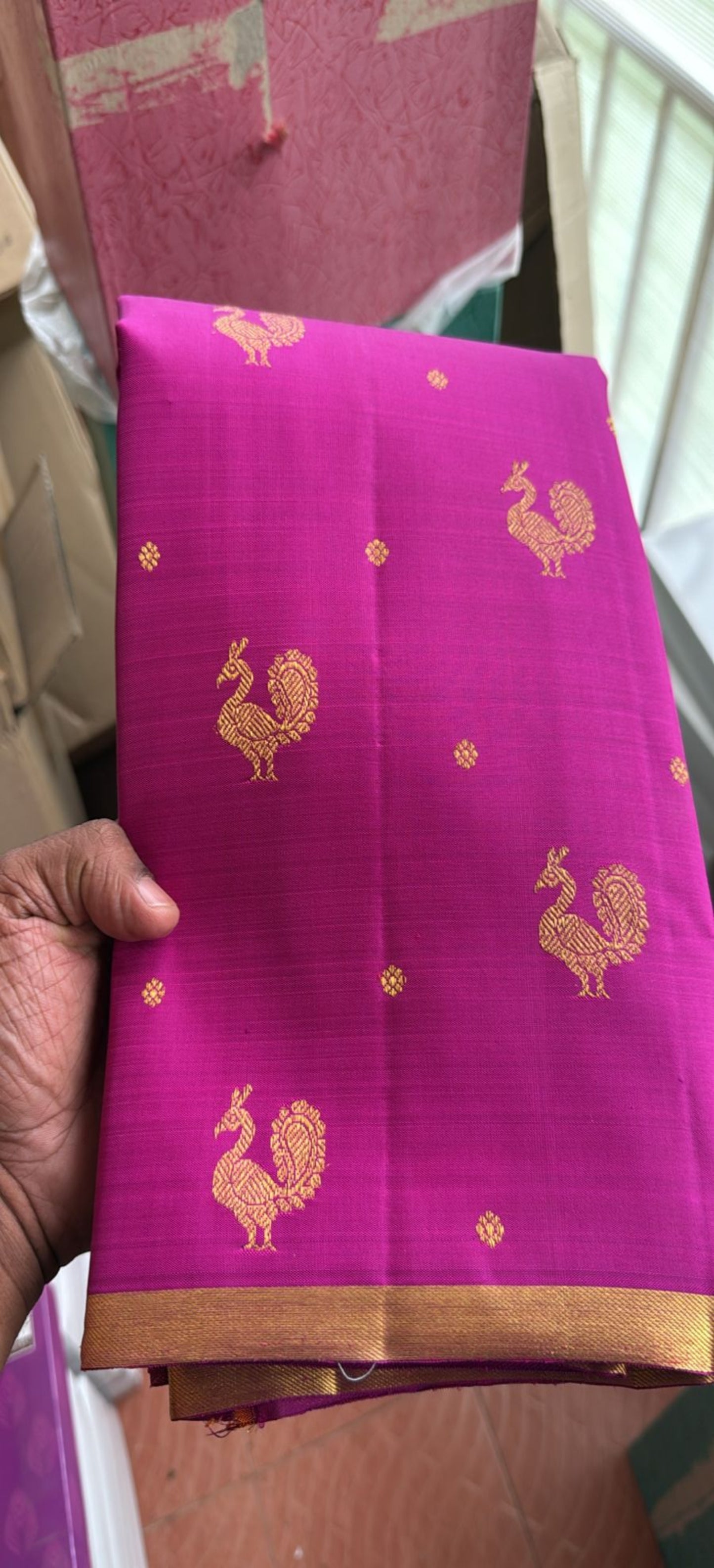 Pre Order-Golden Peacock borderless-Kanjivaram Silk Sari