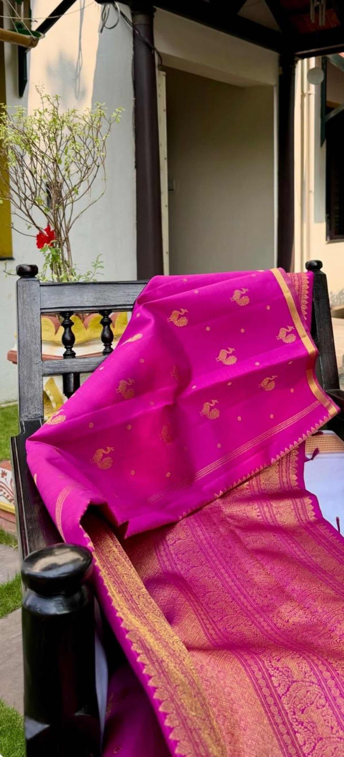 Pre Order-Golden Peacock  borderless-Kanjivaram Silk Sari
