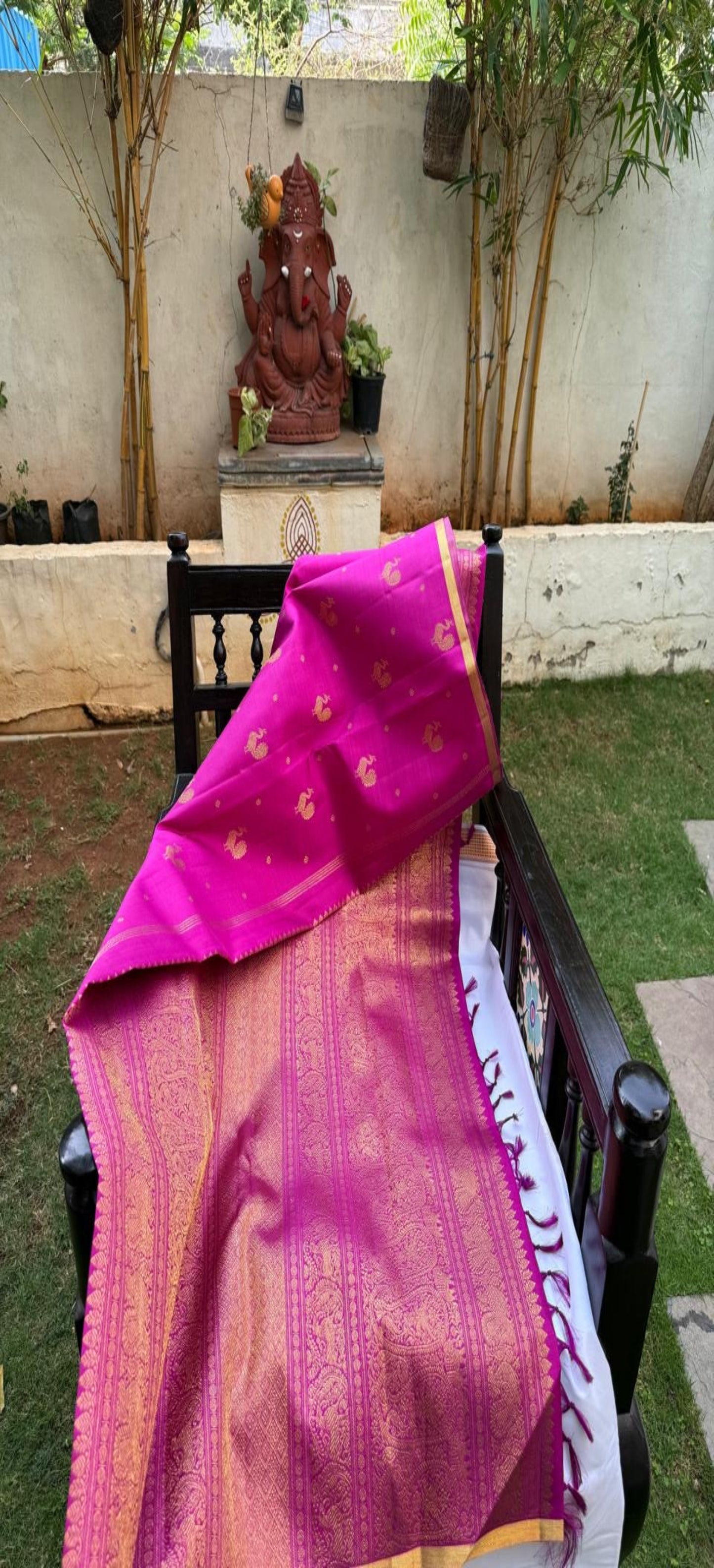 Pre Order-Golden Peacock  borderless-Kanjivaram Silk Sari