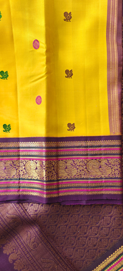 Sunflower Yellow with Purple Border