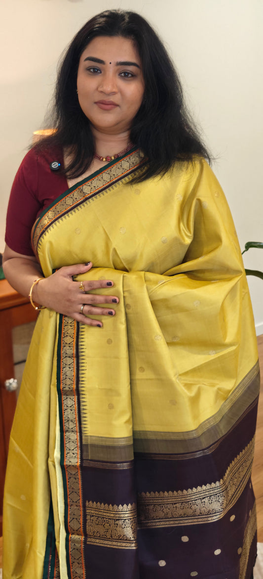 Sampangi and Brown kanjivaram silk sari