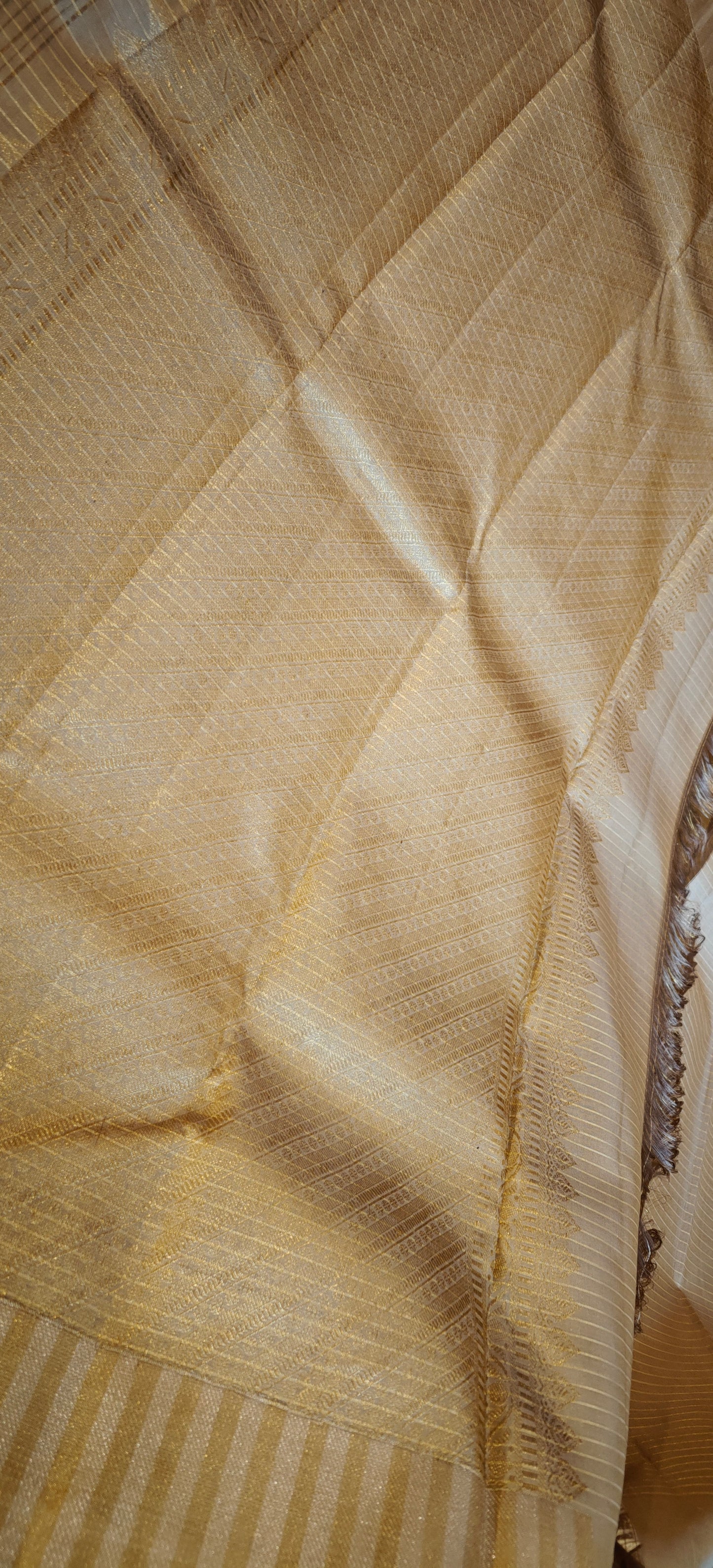 Ikkat on Kanjivaram in beige
